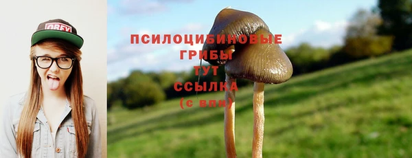 2c-b Киренск