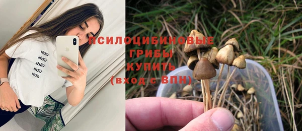 ALPHA-PVP Киреевск
