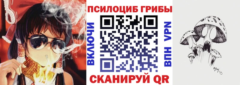 Купить Гвардейск Галлюциногенные грибы GOLDEN TEACHER
