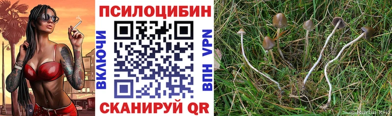 Псилоцибиновые грибы MAGIC MUSHROOMS Гвардейск