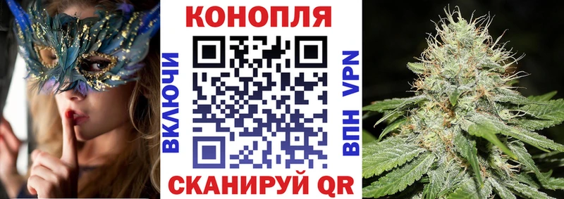 Купить  Гвардейск  Бошки марихуана тримм 
